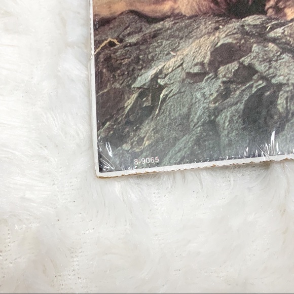 Northwest Publishing Corp 1999 lioness with cub print - Picture 4 of 5